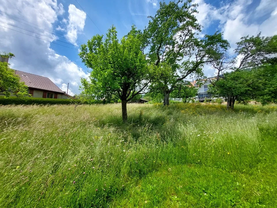 Incantevole cascina con vista lago e Alpi, composta da due appartamenti e un fienile