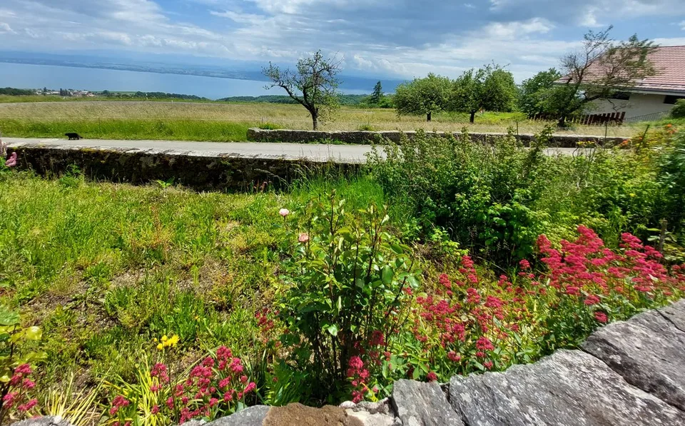Incantevole cascina con vista lago e Alpi, composta da due appartamenti e un fienile
