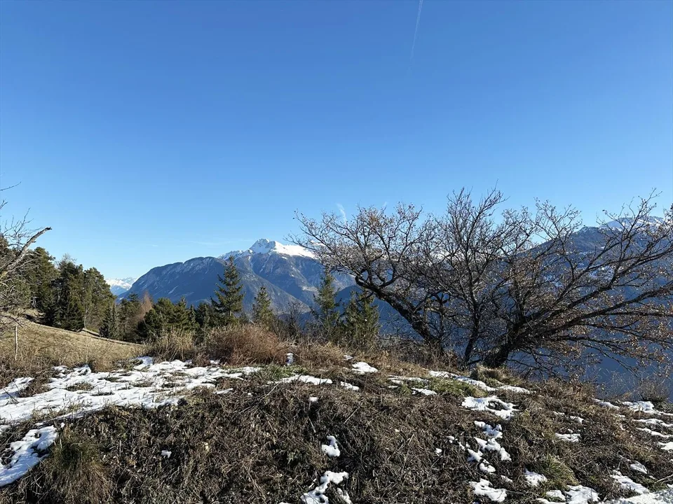 Building plot