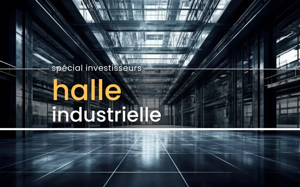Sierre | Iles Falcon - Grande surface industrielle