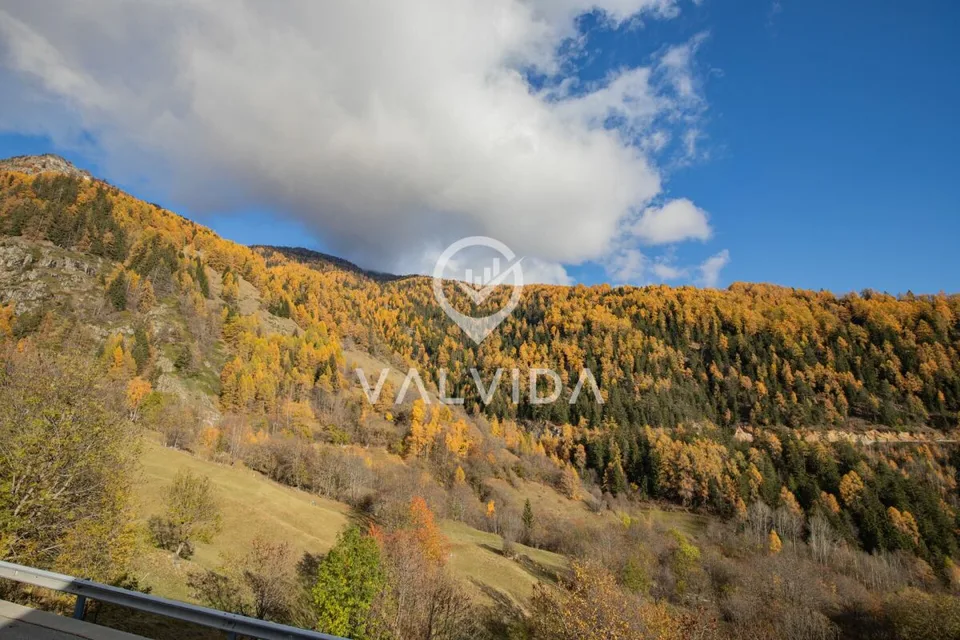 Lieben Sie die Sonne und die Ruhe? Dann ist genau dieses Projekt das Richtige für Sie. – Foto 6 von 9