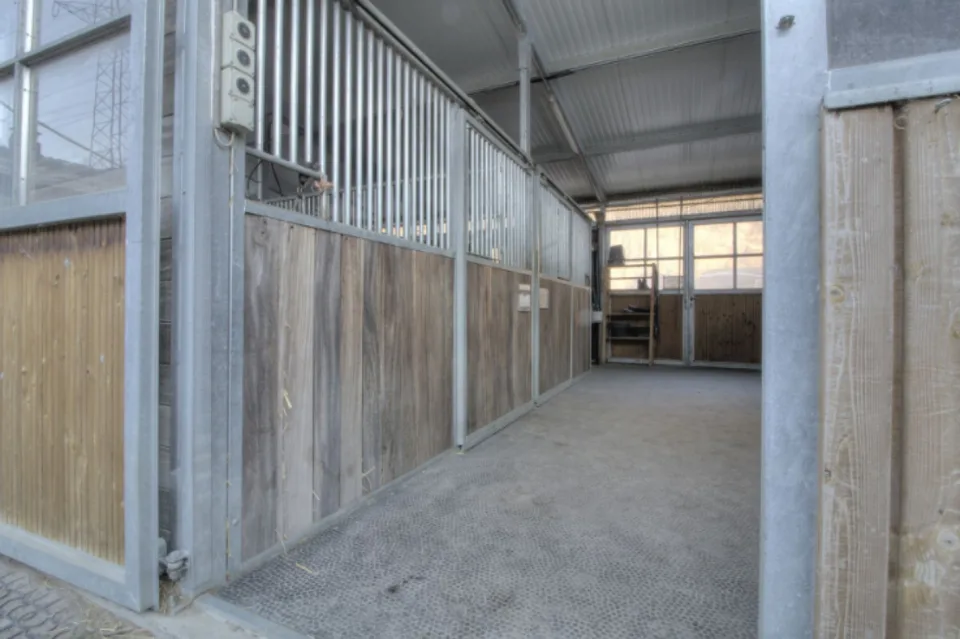 Villa di 4,5 stanze con 5 box per cavalli, un paddock e un annesso