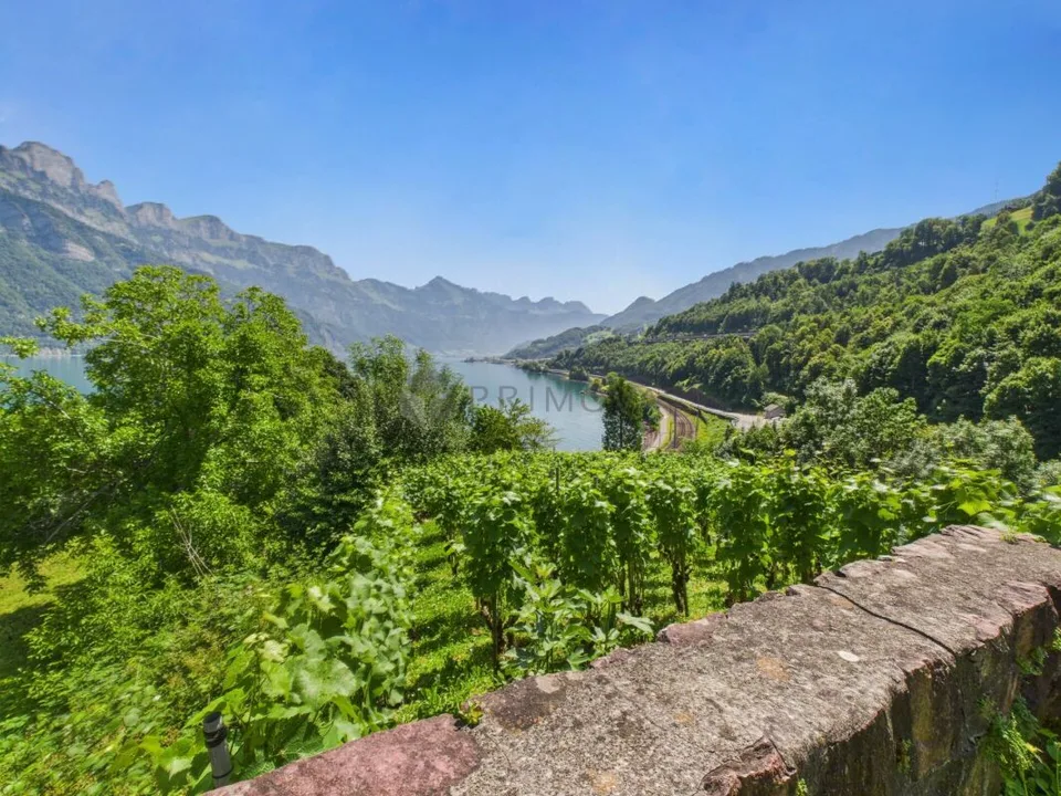Hôtel & Restaurant avec appartements, vignoble et terrain à bâtir dans un emplacement premium au bord du lac Walensee – photo 10 sur 13