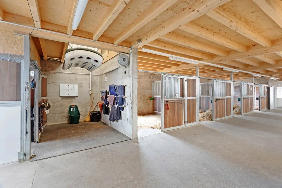 Wunderschönes Reitzentrum mit professionellen Einrichtungen