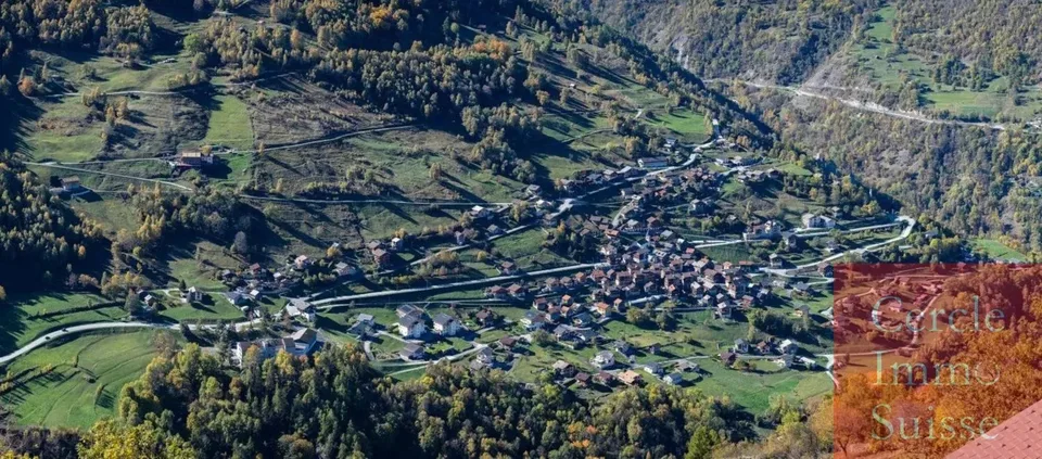Terrain libre de mandat