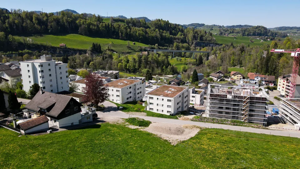 Maison dans un environnement verdoyant