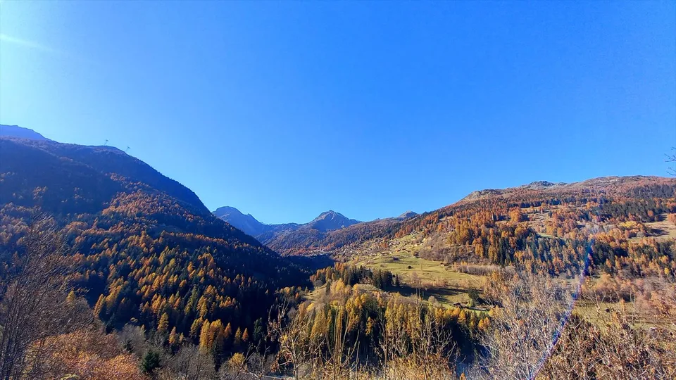 Chalet 12 pièces