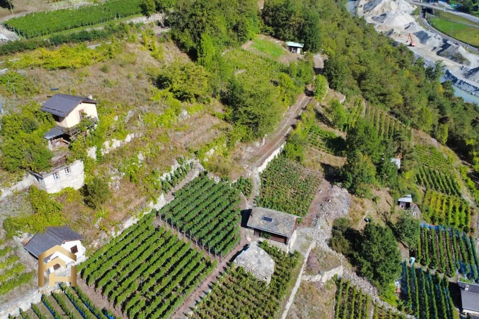 Votre refuge entre vignes et soleil - charmant vignoble à Stald