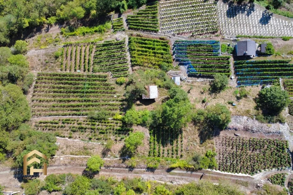 Votre refuge entre vignes et soleil - charmant vignoble à Stald