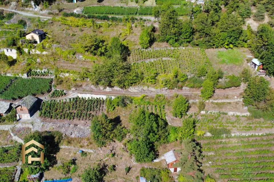 Votre refuge entre vignes et soleil - charmant vignoble à Stald