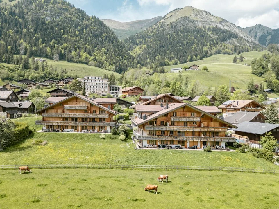 Lumineux appartement de 4.5 pièces à Château-d'Oex