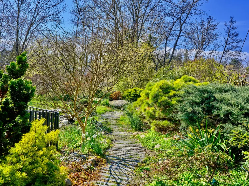 Sehr schönes zeitgenössisches Stadthaus mit einem wunderbaren japanischen Garten – Foto 13 von 13