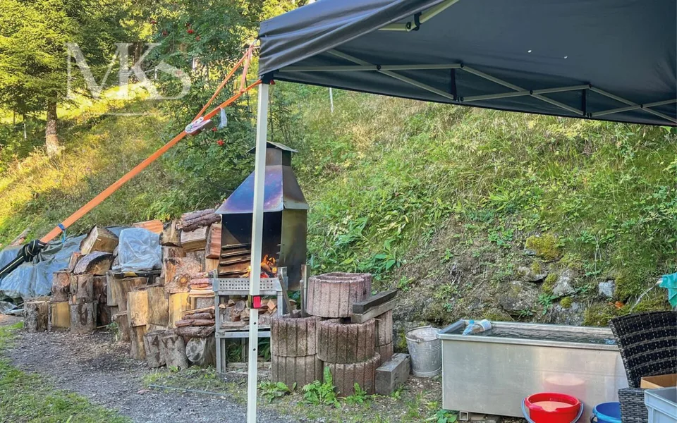 Forest Bathing in Your Mountain Cabin in Goms – photo 9 of 13