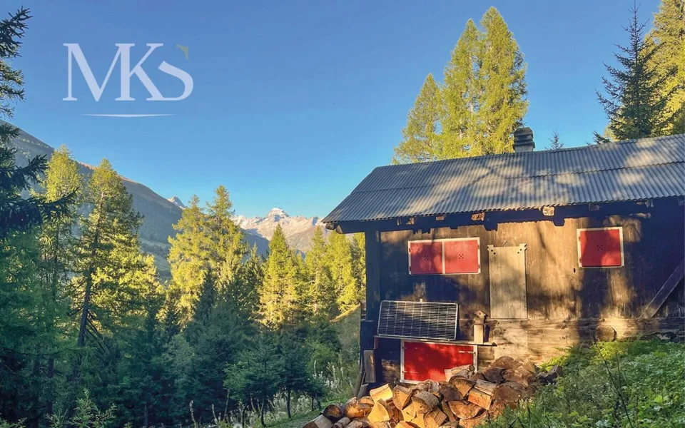 Bain de forêt dans votre chalet de montagne à Goms