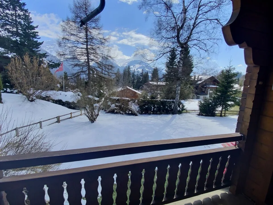 Geräumiges Chalet auf schönem flachem grünem Grundstück – Foto 8 von 10