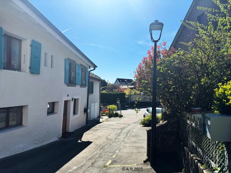 2,5-Zimmer-Wohnung