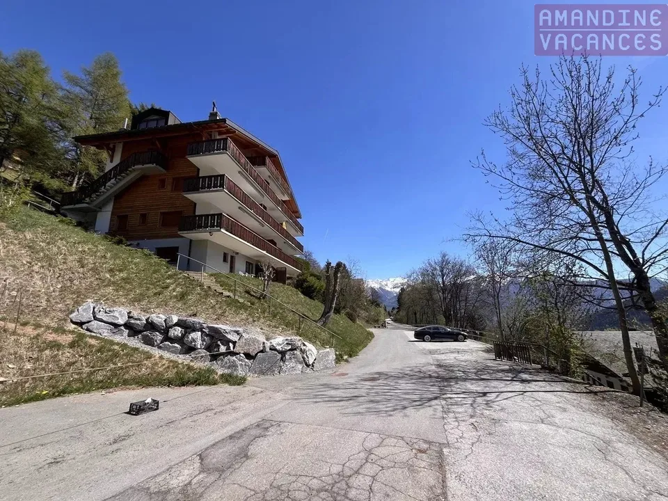 Appartamento arredato affascinante a Ovronnaz, 1 camera da letto