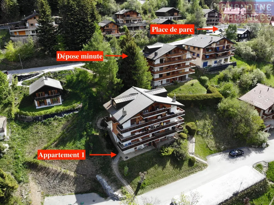 Charmant appartement meublé à Ovronnaz, 1 chambre
