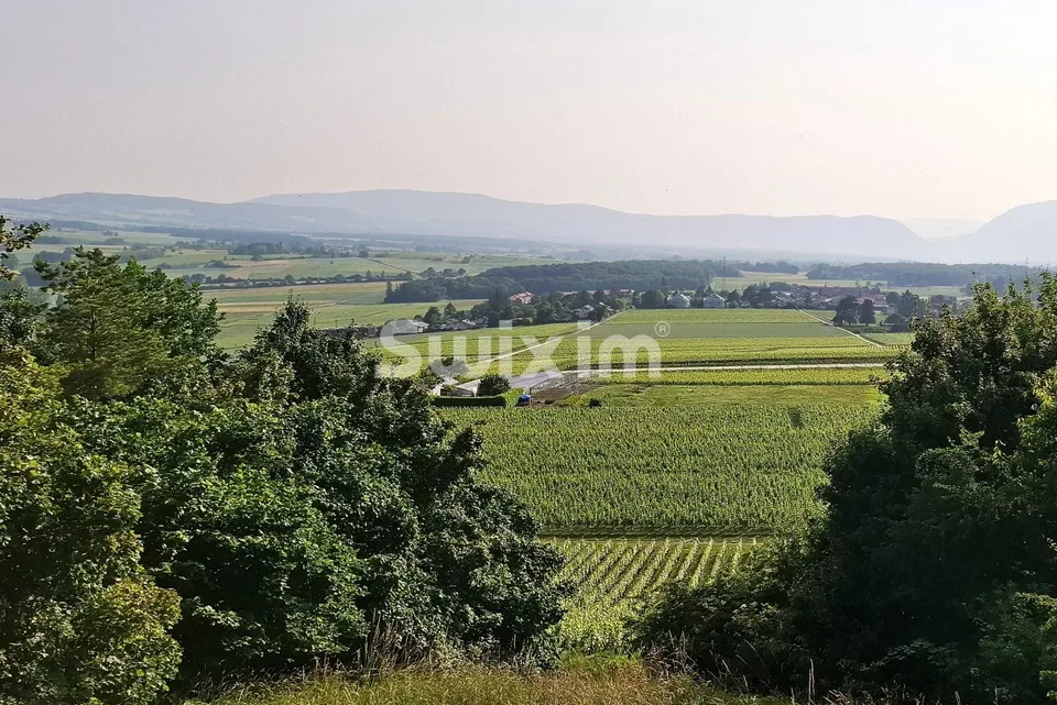 Propriété villageoise aux volumes insoupçonnés