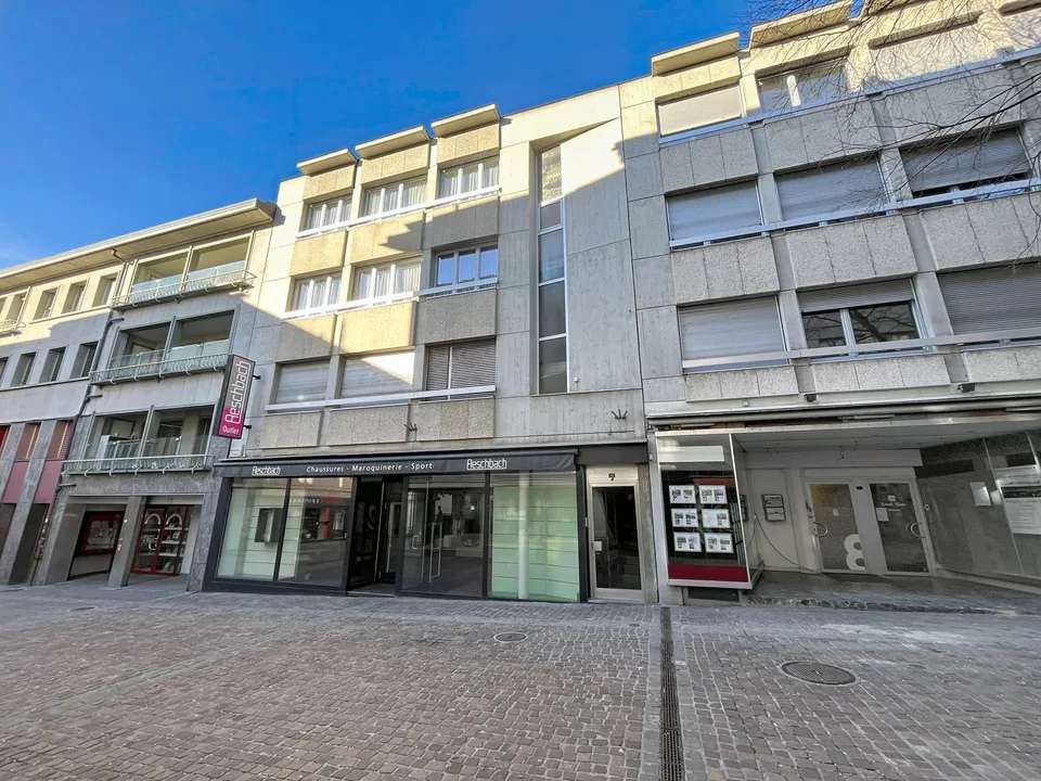 Gewerbefläche im Zentrum von Sion - Große modulare Flächen