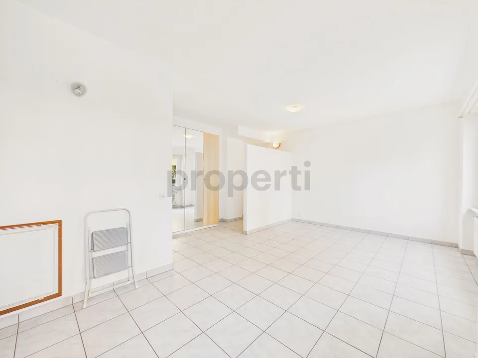 Spacieux studio de 1,5 pièces bien connecté aux services, Lugano