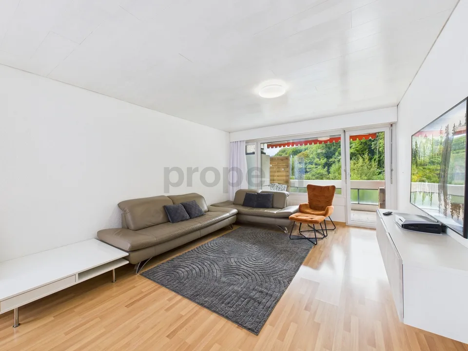 Sehr gepflegte 4.5-Zimmer-Wohnung in Trimbach