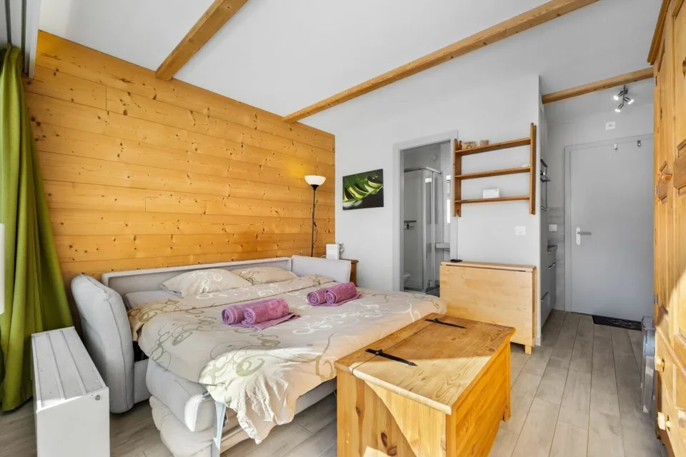 Appartement ski-in ski out de 1.5 pièces