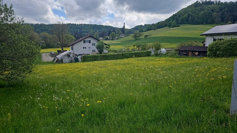 In vendita a Movelier terreno edificabile di 1'468 m²