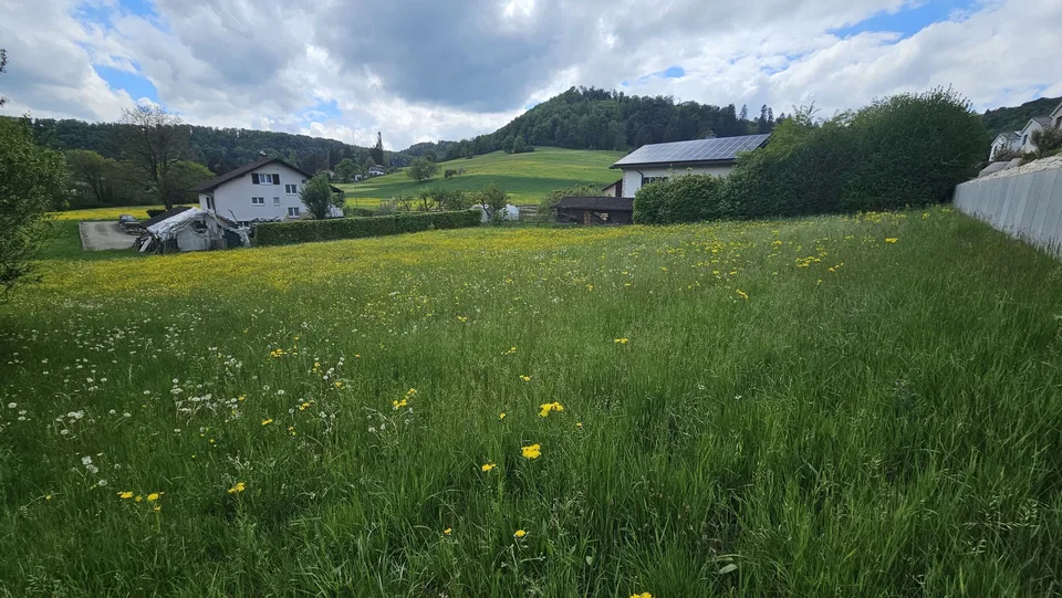 In vendita a Movelier terreno edificabile di 1'468 m²
