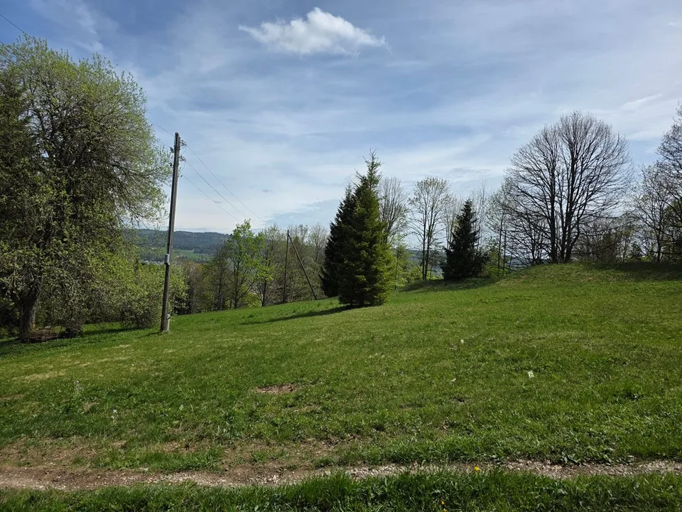 Zwei Chalets auf einem großen, sonnigen Grundstück