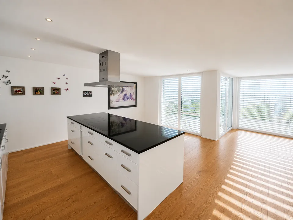 Maison individuelle moderne avec potentiel