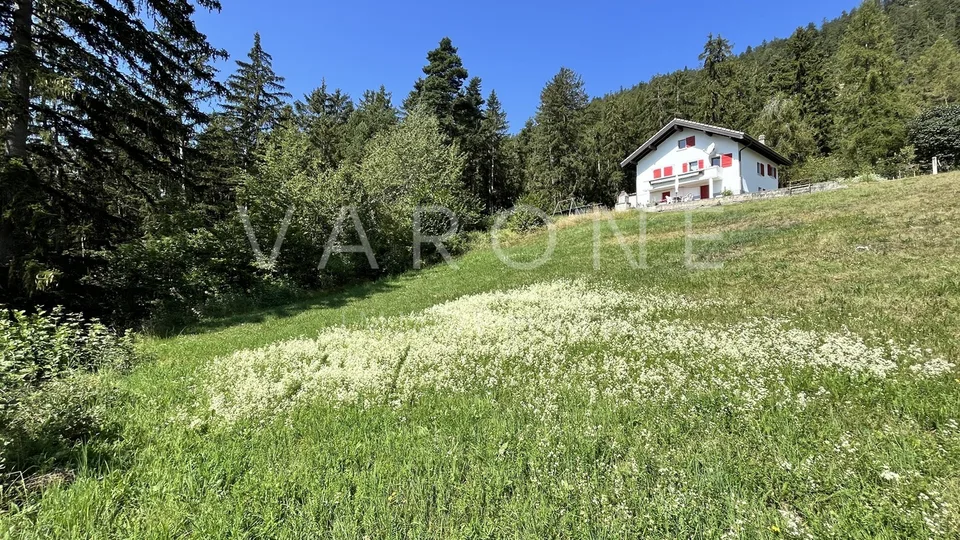 Terrain à bâtir – photo 6 sur 9