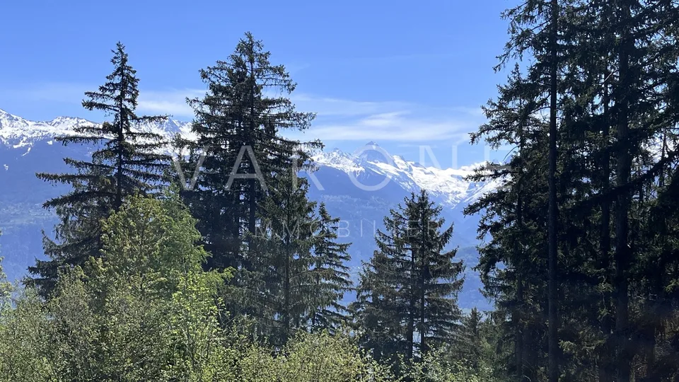 Terrain à bâtir