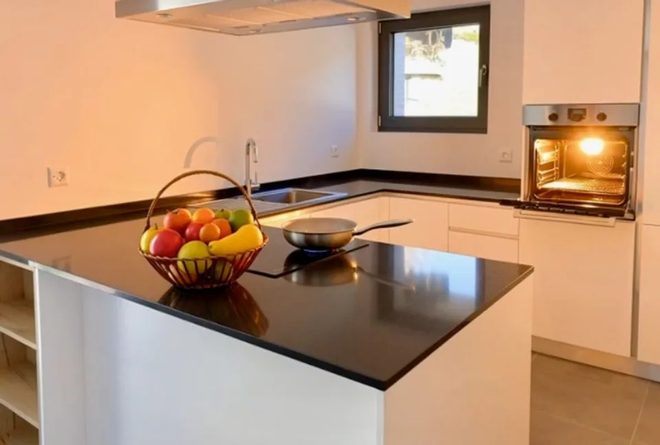 Villa unifamiliale de style contemporain avec jardin