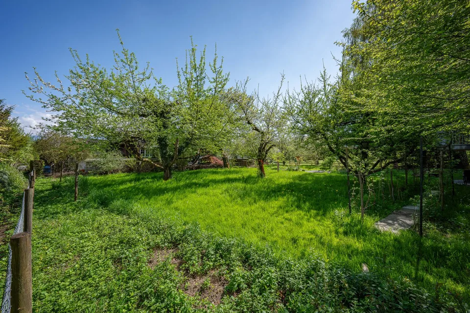 Terrain à bâtir