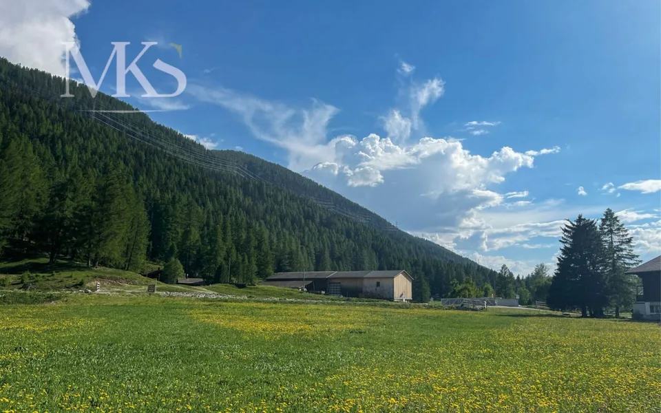 Terreno edificabile in posizione privilegiata a Goms