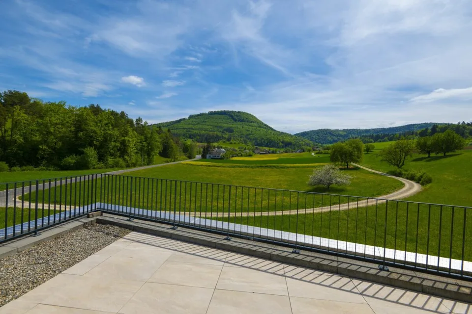 Hochwertige 3 1/2-Zimmer Attikawohnung