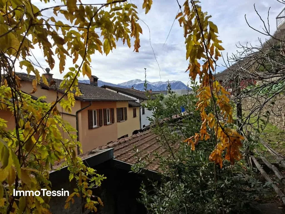 OPPORTUNITÀ: Casa ticinese originale con annesso e area esterna in una posizione tranquilla e ben collegata