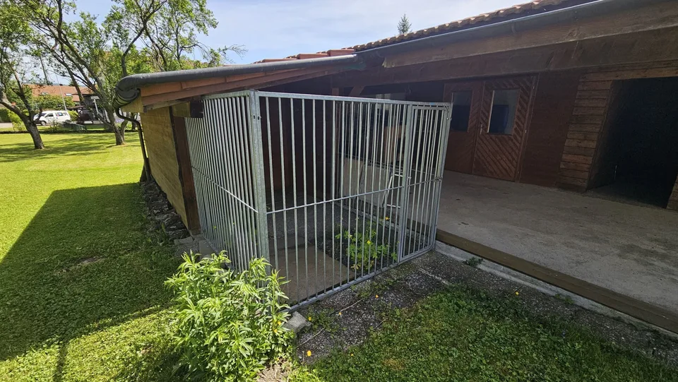 In vendita a Glovelier casa con 3 appartamenti e grande terreno – foto 9 di 13