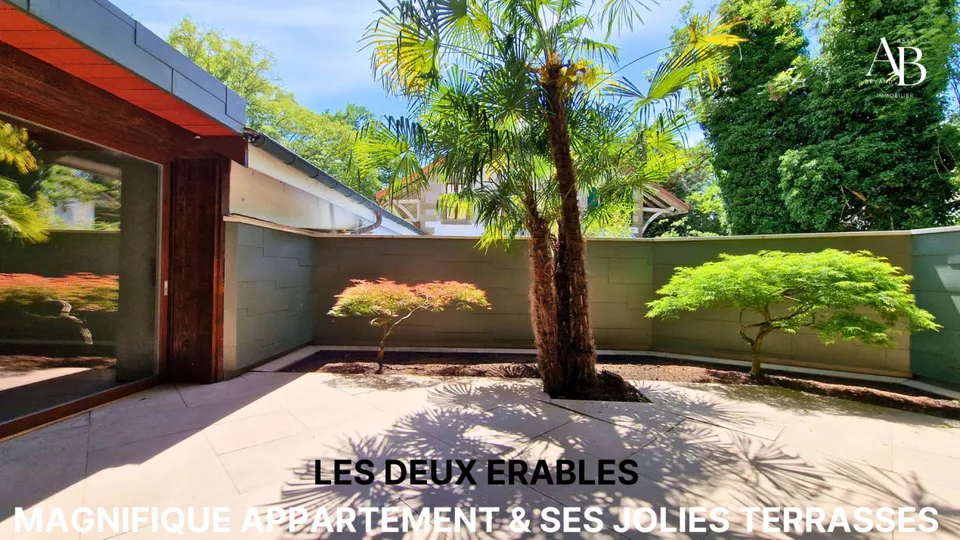 Les deux Erables:charmantl Appartement avec  deux grandes Terrasses