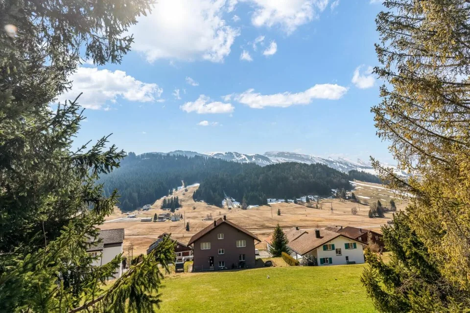 Wohnen mit Bergsicht in Wildhaus