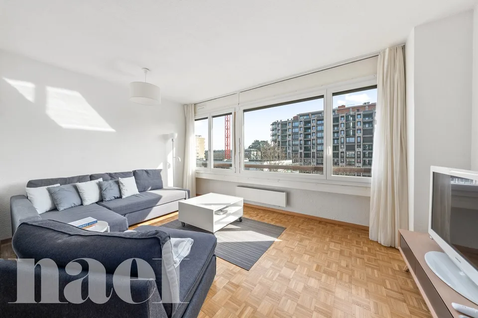 Investissement : Lumineux studio à Champel