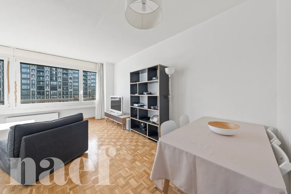 Investissement : Lumineux studio à Champel