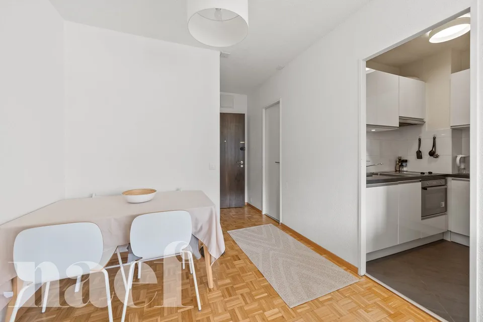Investissement : Lumineux studio à Champel