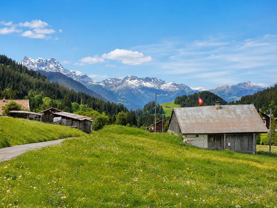 Terrain à bâtir de 1582 m² au centre des Mosses - Ormont-Dessous (VD), Alpes vaudoises