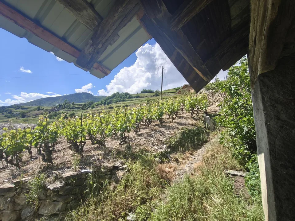 Fienili da ristrutturare su un terreno di 780m2