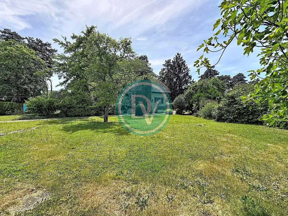 POUR EXCLUSIF : maison individuelle au centre de Versoix