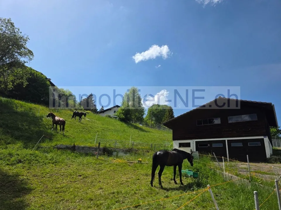 Terrain constructible de 2'143 m² à La Chaux-de-Fonds