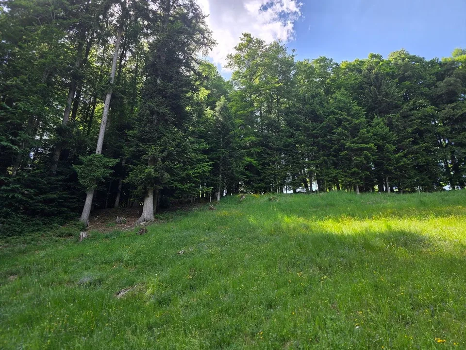 Baugrundstück von 1'878 m² in La Chaux-de-Fonds