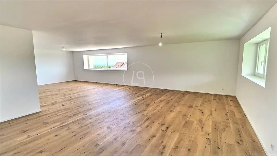 Appartement rénové en duplex avec vue sur le lac proche de Rolle